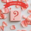 Sänger Mysterybox im Wert von 40€
